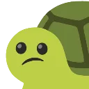 6455cepconfusedturtle