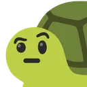 9732cepturtlewithraisedeyebrow