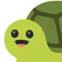 4947cehgrinningturtle