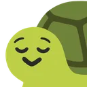 5169cehrelievedturtle