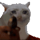 CA100RJI_2_Sadcatgun