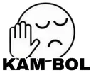 zzz_kam_bol