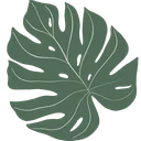 monstera