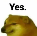 yes