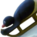 pingu_sledge Discord emoji