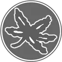 LeafGray250