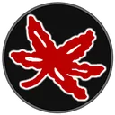LeafBlack250