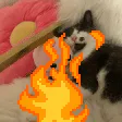 KittyOnFire