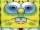 OMGBOB