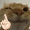 Screenshot_20241004182406_WhatsA