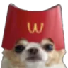 McDog