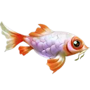 goldfish