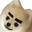 brows