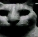 uncanny_cat