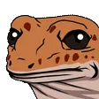 gecko