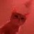 catdance catdance