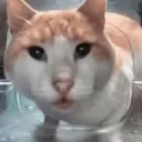 Mrshock Mrshock
