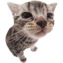 critter Discord emoji