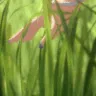 touchgrass touchgrass