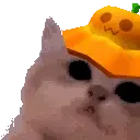 kittyJam