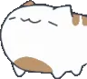 bugnodwhitebrown