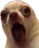dog_gasp