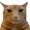Buh Buh