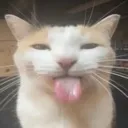cattongue