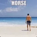 HORSE