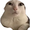 reginald