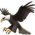 Eagle61