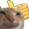 thumbsUpCat thumbsUpCat