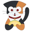 noco_cat