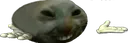 xdd