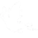 pureza_a pureza_a
