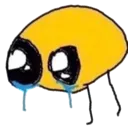crybug