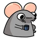 cool_rat