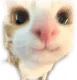 33 33