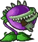 chomperChomping