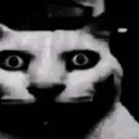 uncanyt