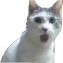 OMG