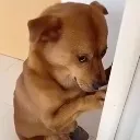 3___3