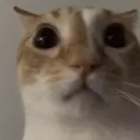 concern