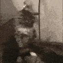 catfire