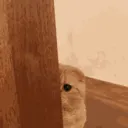 peek peek