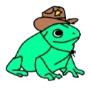 frog_cowboy