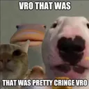 Vro_that_was_pretty_cringe_vro