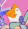 socks socks