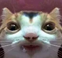 uhhhhhh