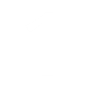 n1
